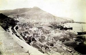 Oran-Les quais et l'alfa 13